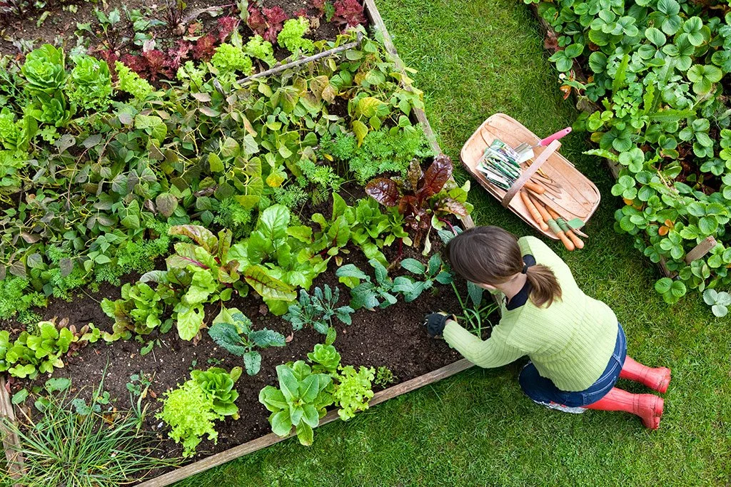 Seasonal Bio Gardening